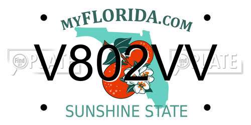 V802VV Florida License Plate