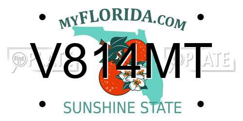 V814MT Florida License Plate