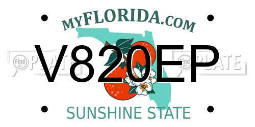 V820EP Florida License Plate