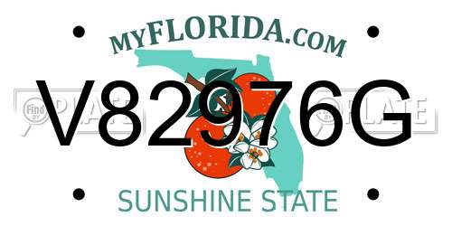 V82976G Florida License Plate