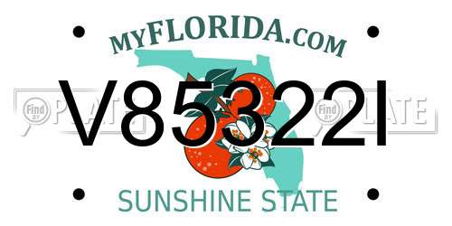 V85322I Florida License Plate