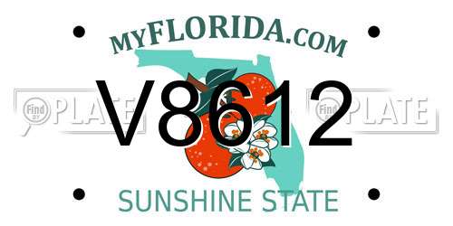 V8612 Florida License Plate