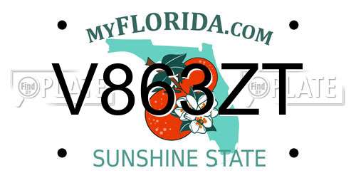 V863ZT Florida License Plate