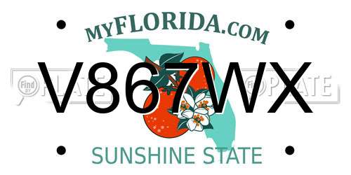 V867WX Florida License Plate