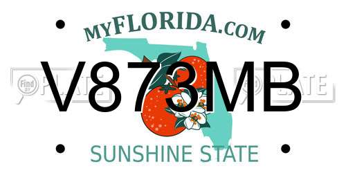 V873MB Florida License Plate