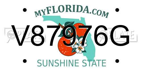 V87976G Florida License Plate