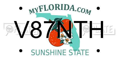 V87NTH Florida License Plate