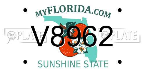 V8962 Florida License Plate