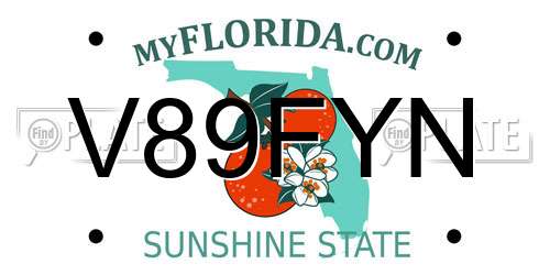 V89FYN Florida License Plate