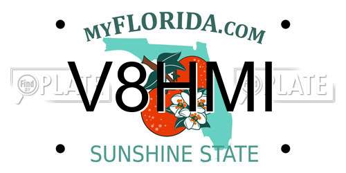 V8HMI Florida License Plate