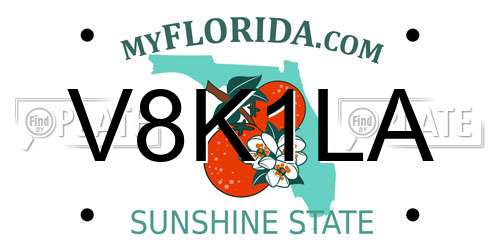 V8K1LA Florida License Plate