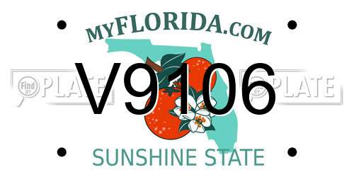 V9106 Florida License Plate