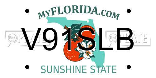 V91SLB Florida License Plate