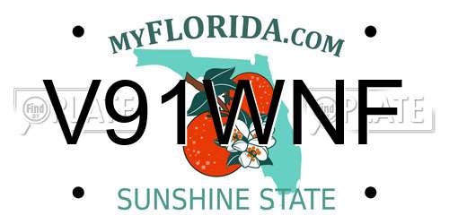 V91WNF Florida License Plate