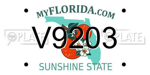 V9203 Florida License Plate