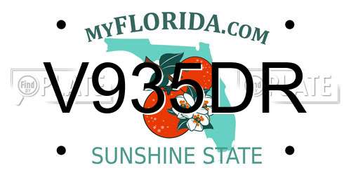 V935DR Florida License Plate