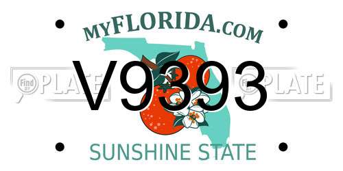 V9393 Florida License Plate