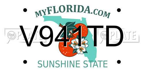 V941TD Florida License Plate