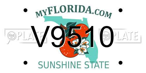 V9510 Florida License Plate