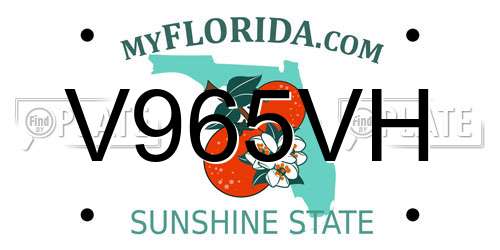 V965VH Florida License Plate