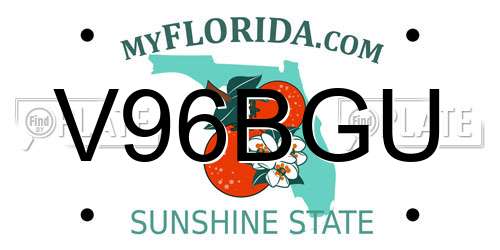 V96BGU Florida License Plate
