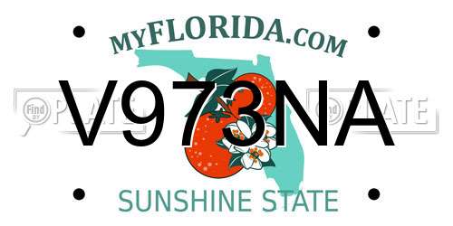 V973NA Florida License Plate