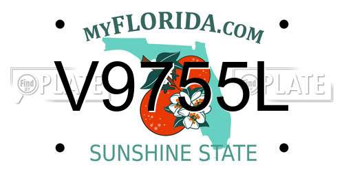 V9755L Florida License Plate