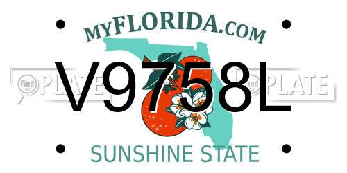V9758L Florida License Plate