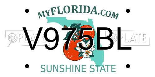 V975BL Florida License Plate