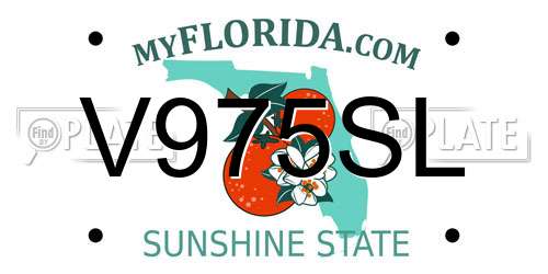 V975SL Florida License Plate