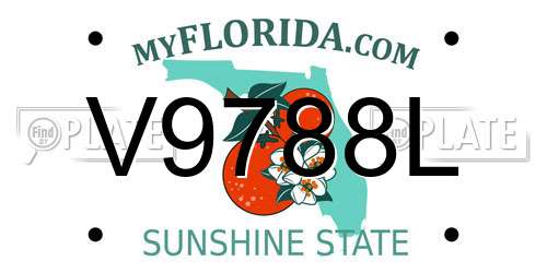 V9788L Florida License Plate