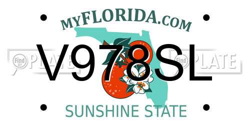 V978SL Florida License Plate