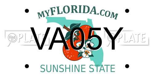VA05Y Florida License Plate