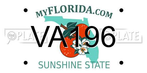 VA196 Florida License Plate
