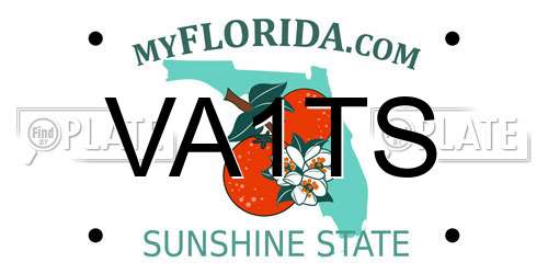 VA1TS Florida License Plate