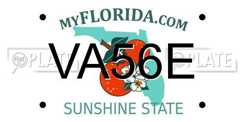 VA56E Florida License Plate