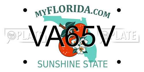 VA65V Florida License Plate