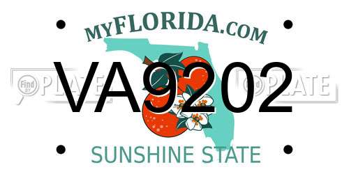 VA9202 Florida License Plate