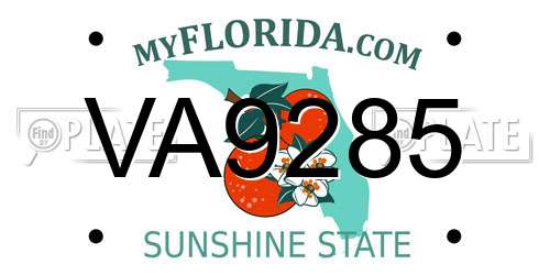 VA9285 Florida License Plate