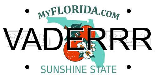 VADERRR Florida License Plate