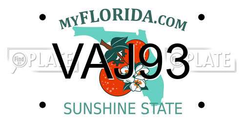 VAJ93 Florida License Plate