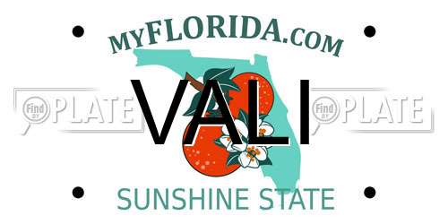 VALI Florida License Plate