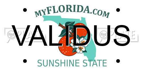 VALIDUS Florida License Plate