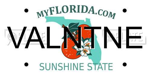 VALNTNE Florida License Plate