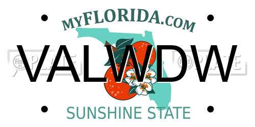 VALWDW Florida License Plate