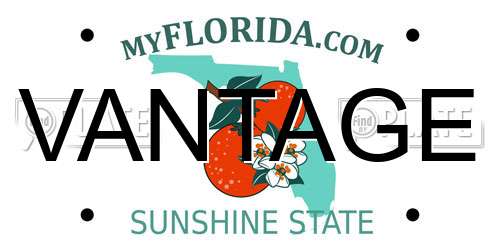 VANTAGE Florida License Plate