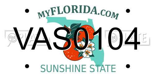 VAS0104 Florida License Plate