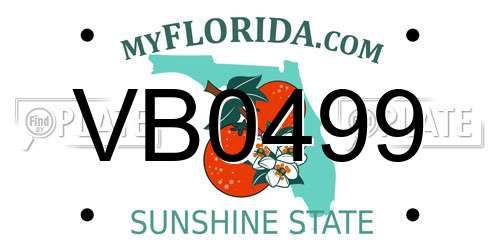 VB0499 Florida License Plate