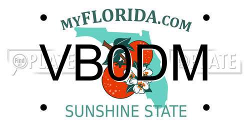 VB0DM Florida License Plate