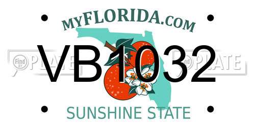 VB1032 Florida License Plate